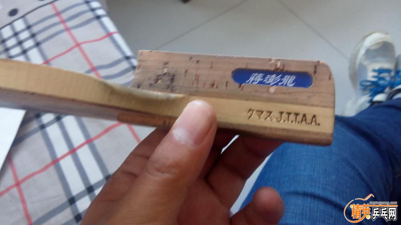 558645229.jpg