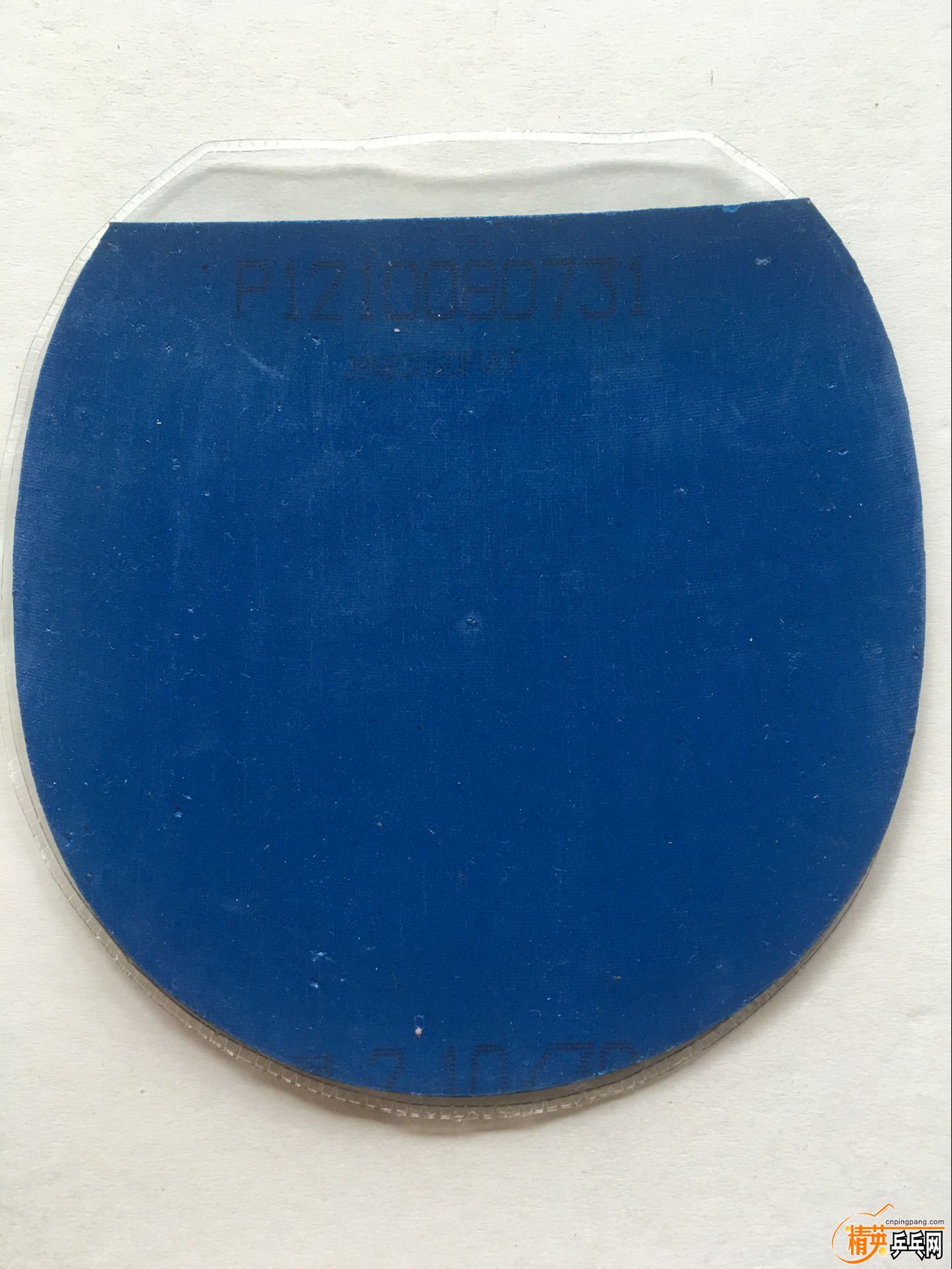 97.jpg