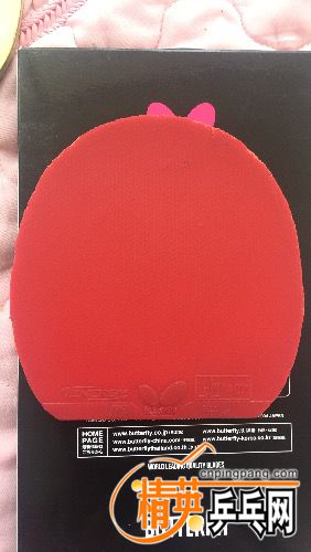 image.jpeg