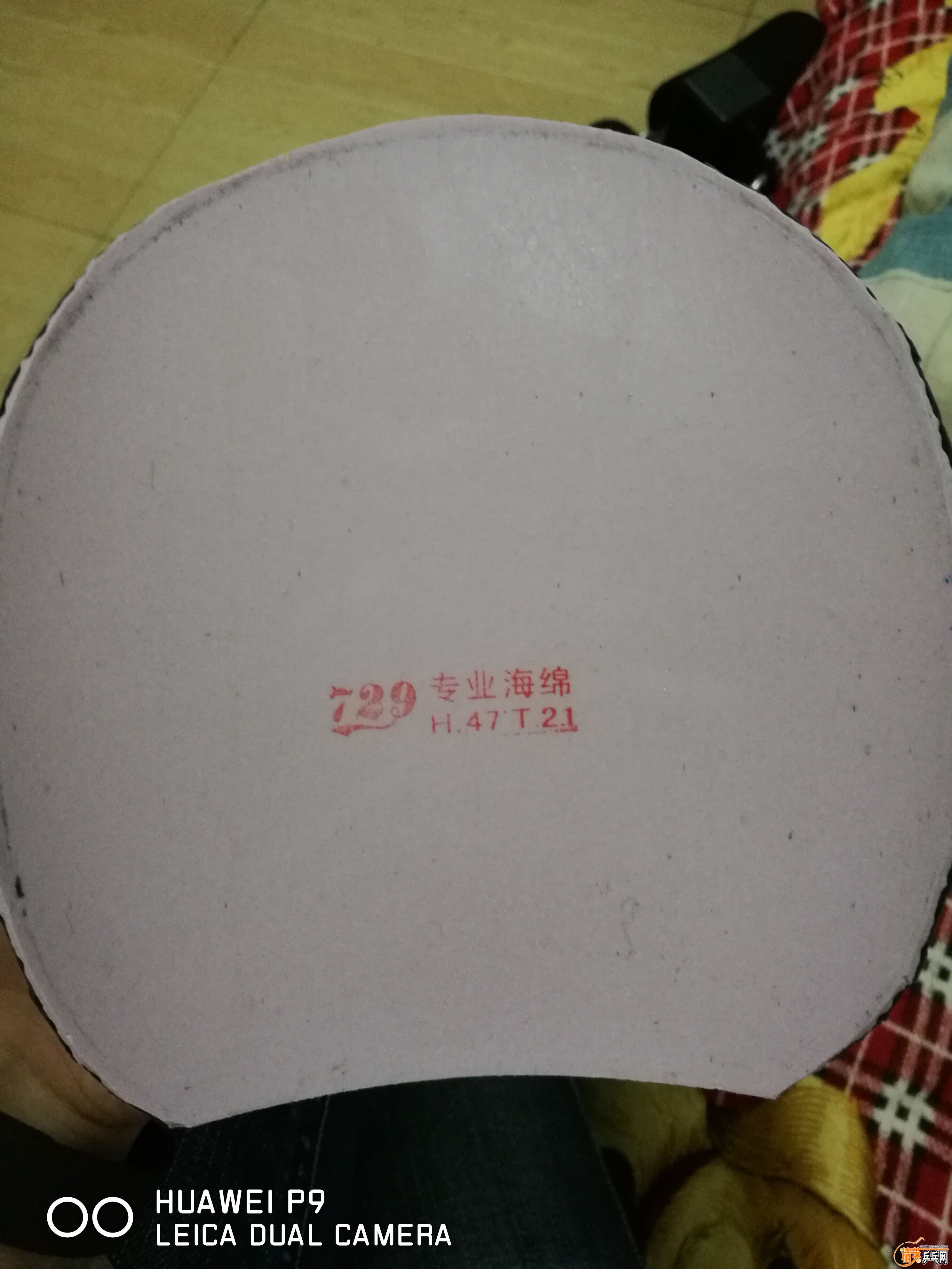QQͼƬ20160522105428.jpg