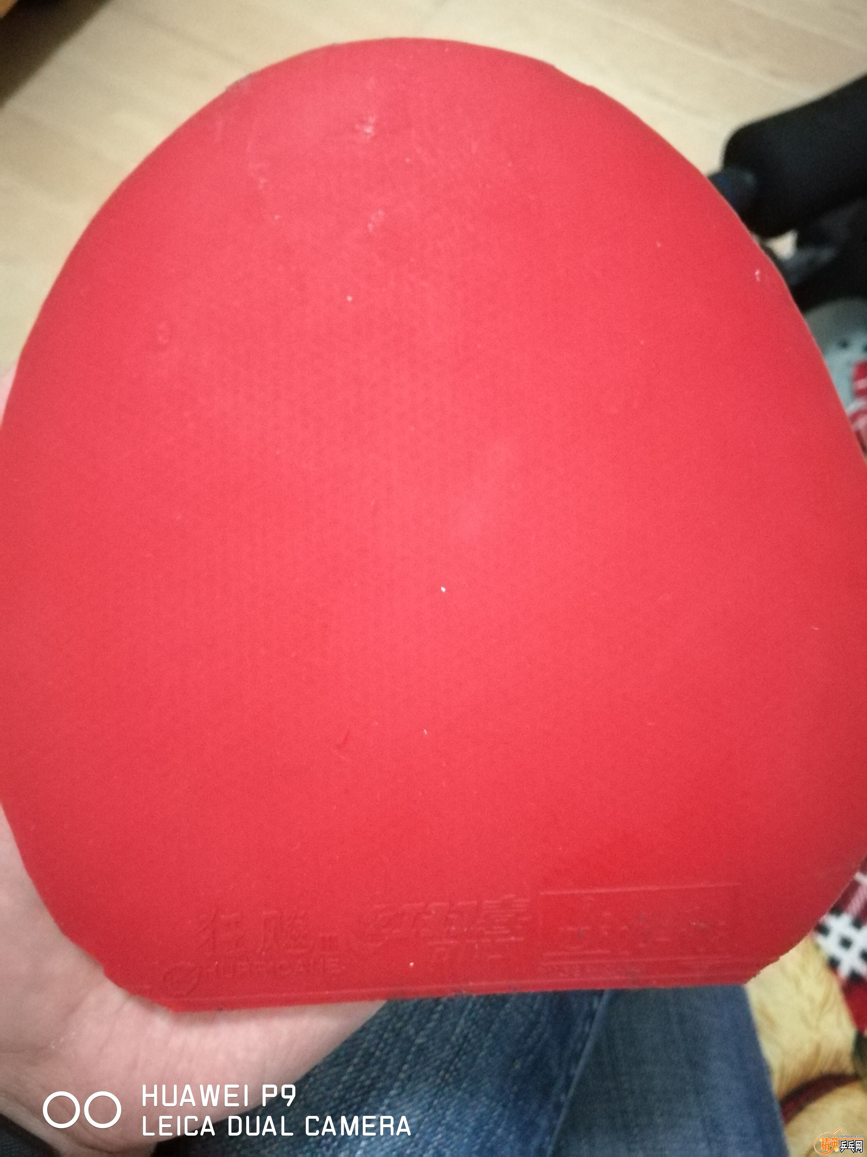 QQͼƬ20160522105434.jpg