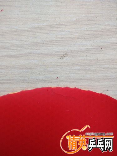 IMG_20160505_165146.jpg