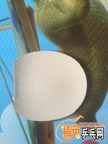 image.jpg