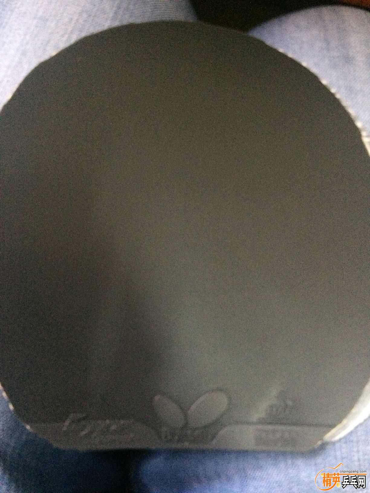 ���SPEED 1.JPG