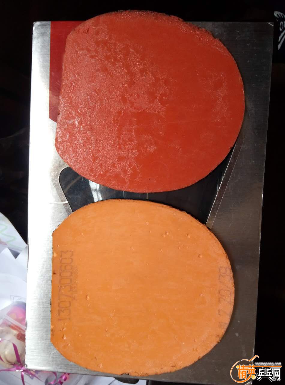 872024367837292444.jpg