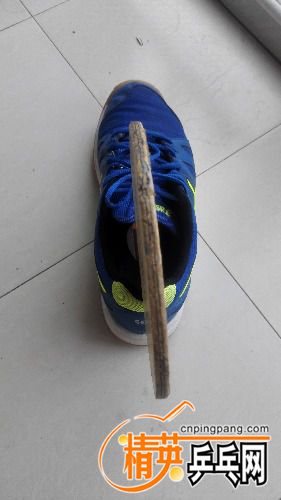 IMG_20160523_083853.jpg