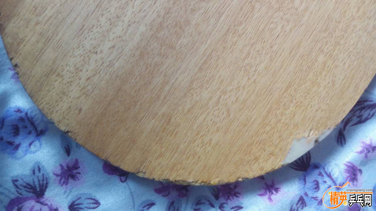 48754914171050113.jpg