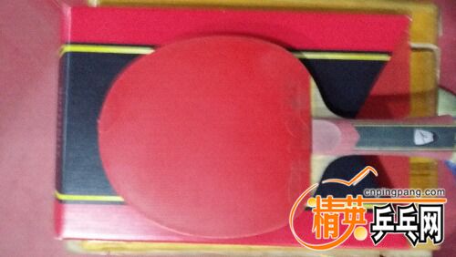 IMG20160520173353.jpg