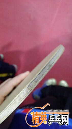 IMG20160528141408.jpg