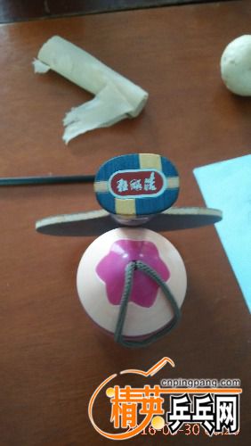 IMG_20160530_082050.jpg