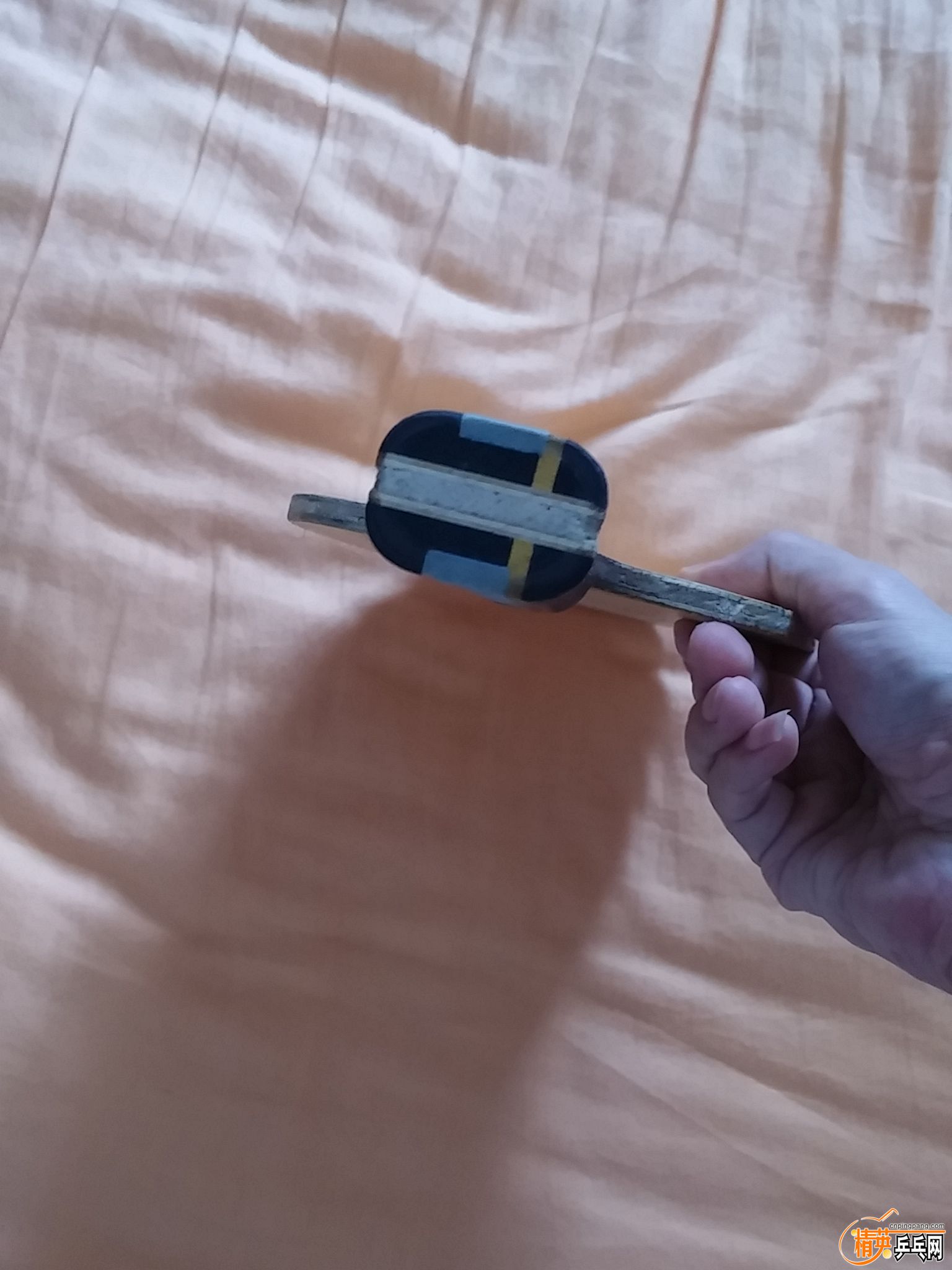20160527_143246_HDR.jpg