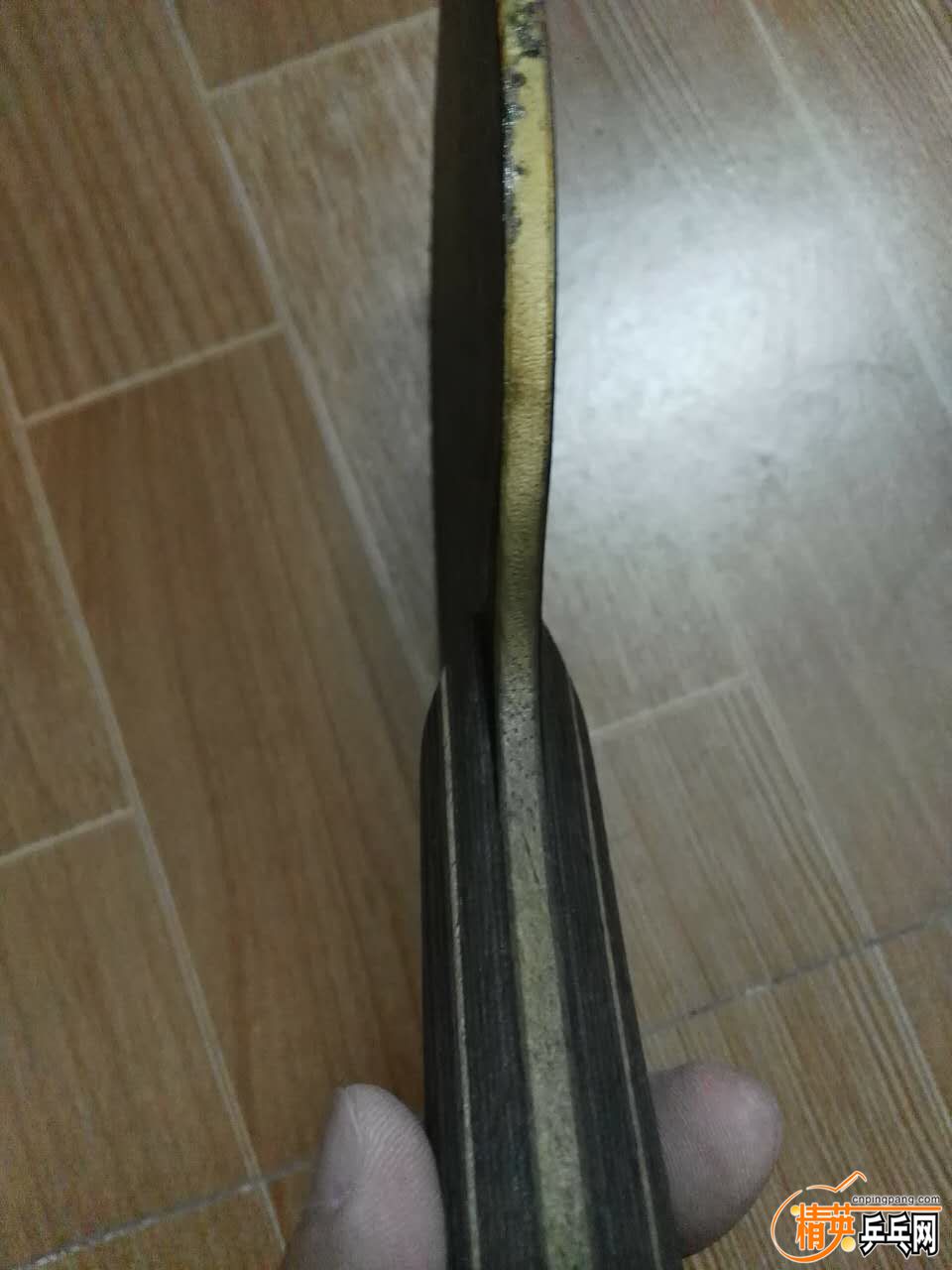 937138540.jpg