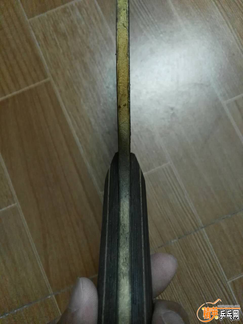 1916402528.jpg
