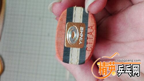 IMG_20160607_112400.jpg