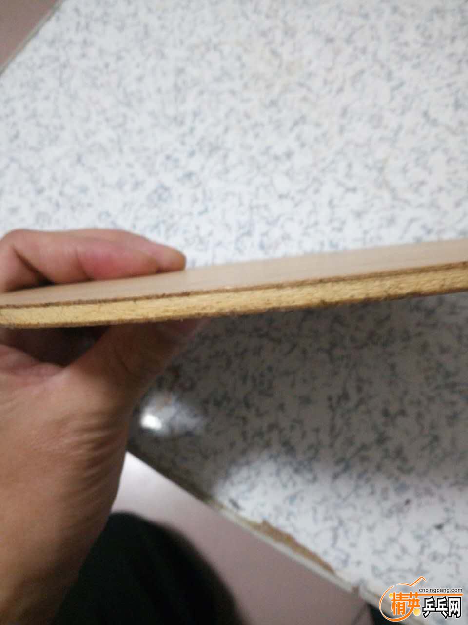 ͦӢ5.jpg