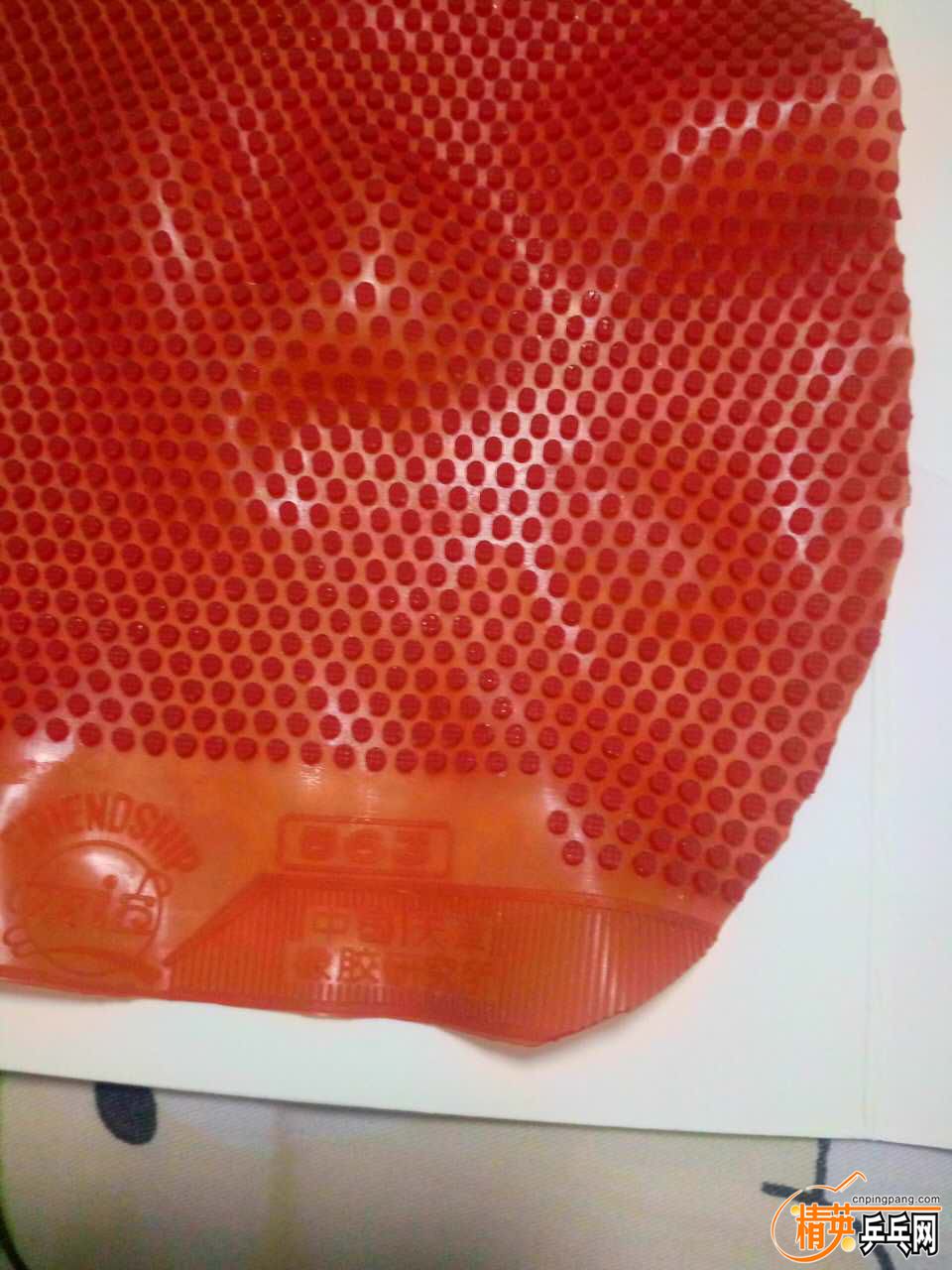 �����563 1.jpg