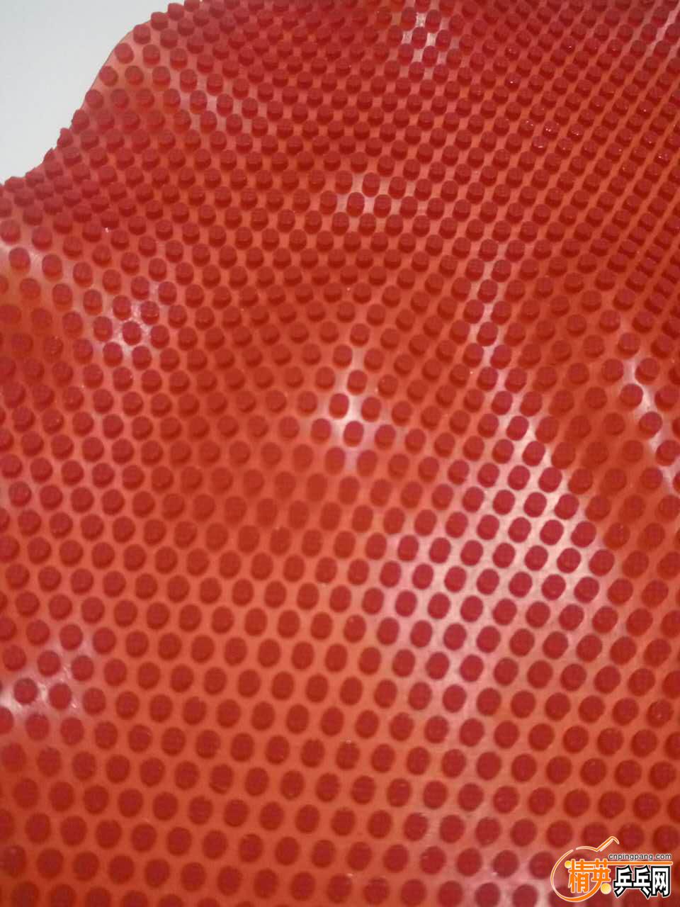 �����563 2.jpg