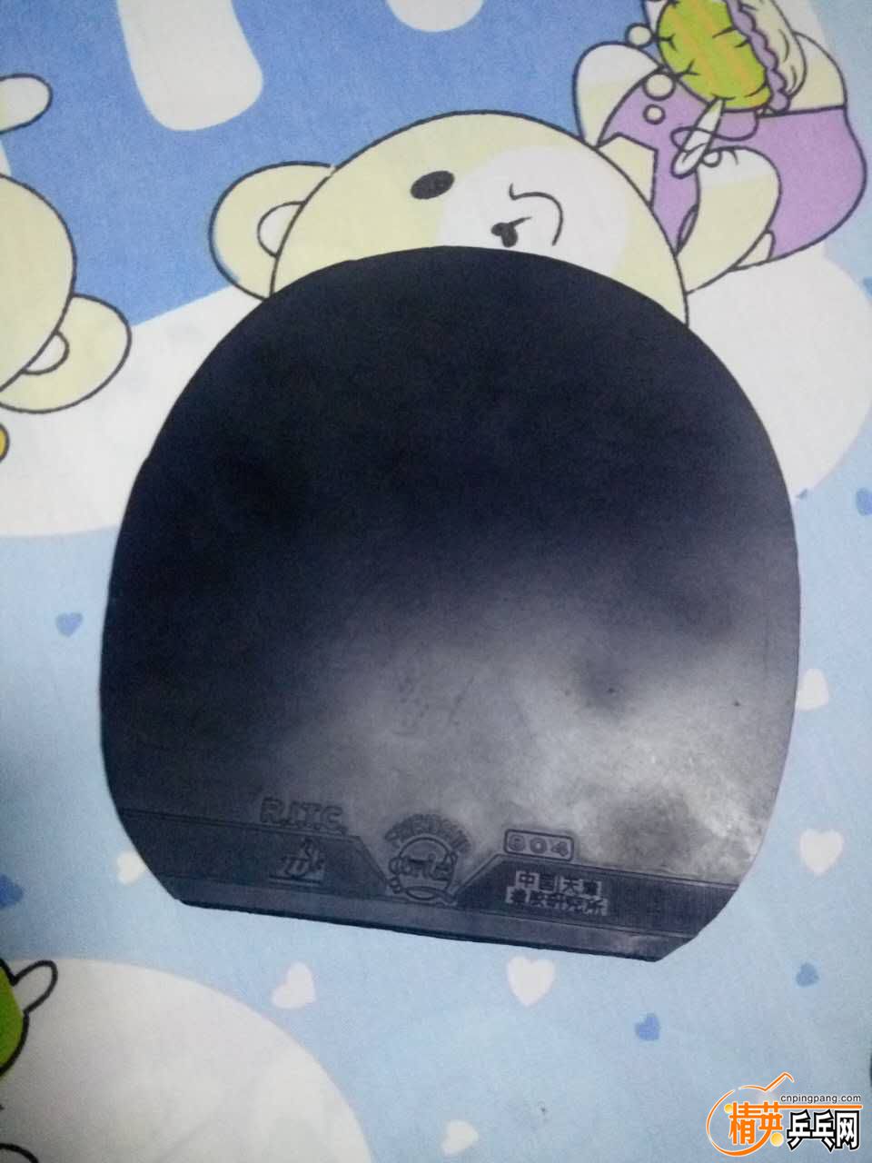 ����804 1.jpg