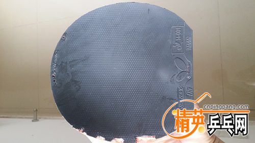 20160609_154814.jpg