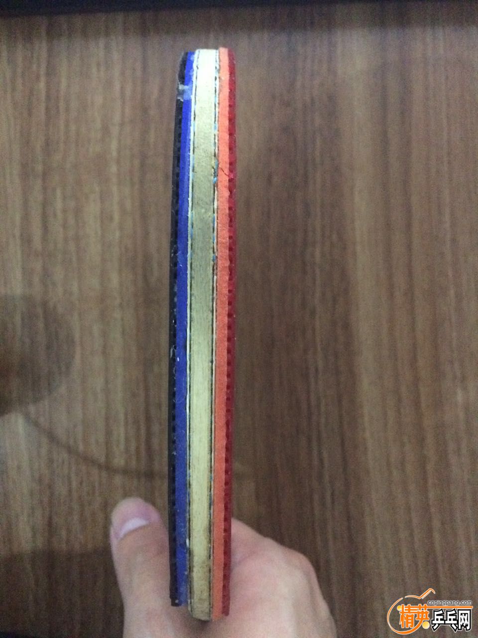 231900525083538916.jpg