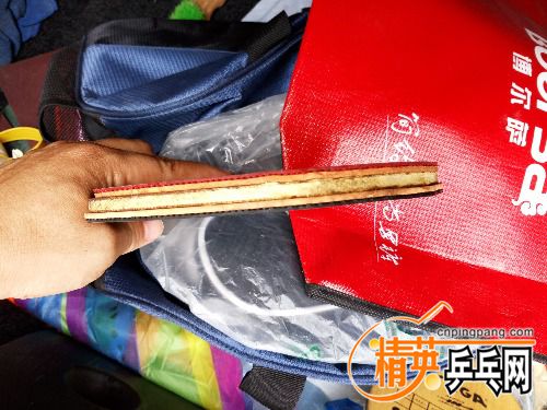 IMG_20160610_111704.jpg