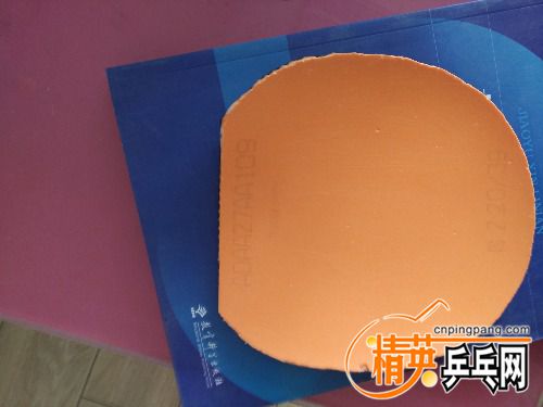 IMG_20160429_134822.jpg