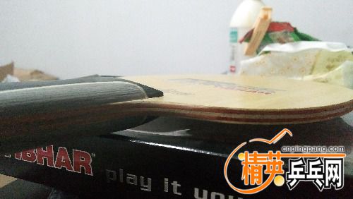 IMG_20160613_064834.jpg