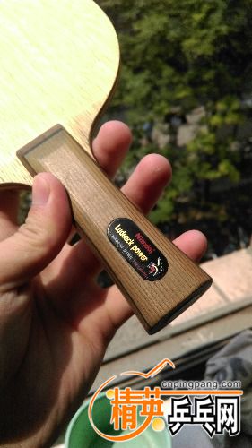 IMAG0009.jpg