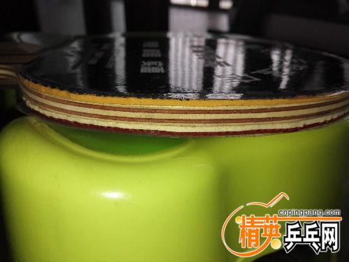 IMG_20160613_144813.jpg