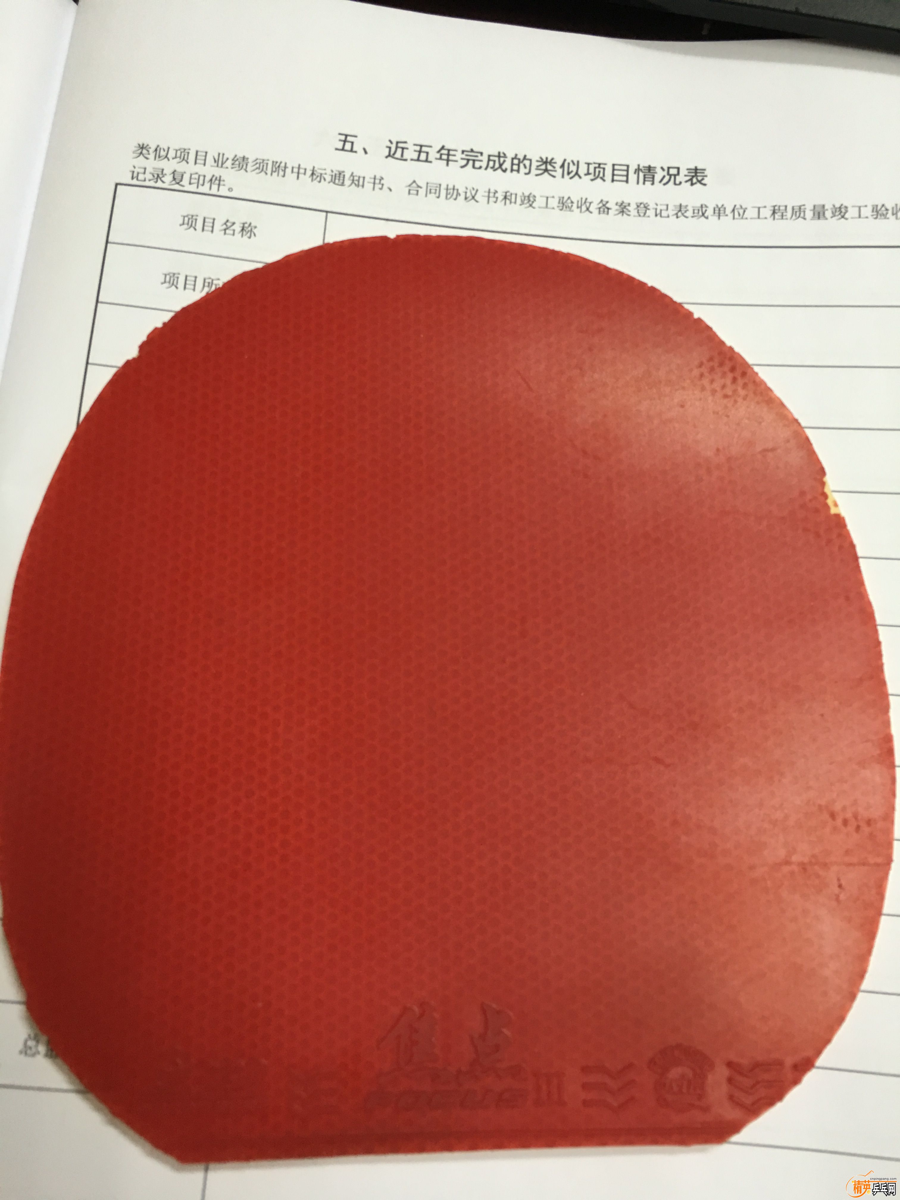 ½ļ (3)IMG_1268.JPG