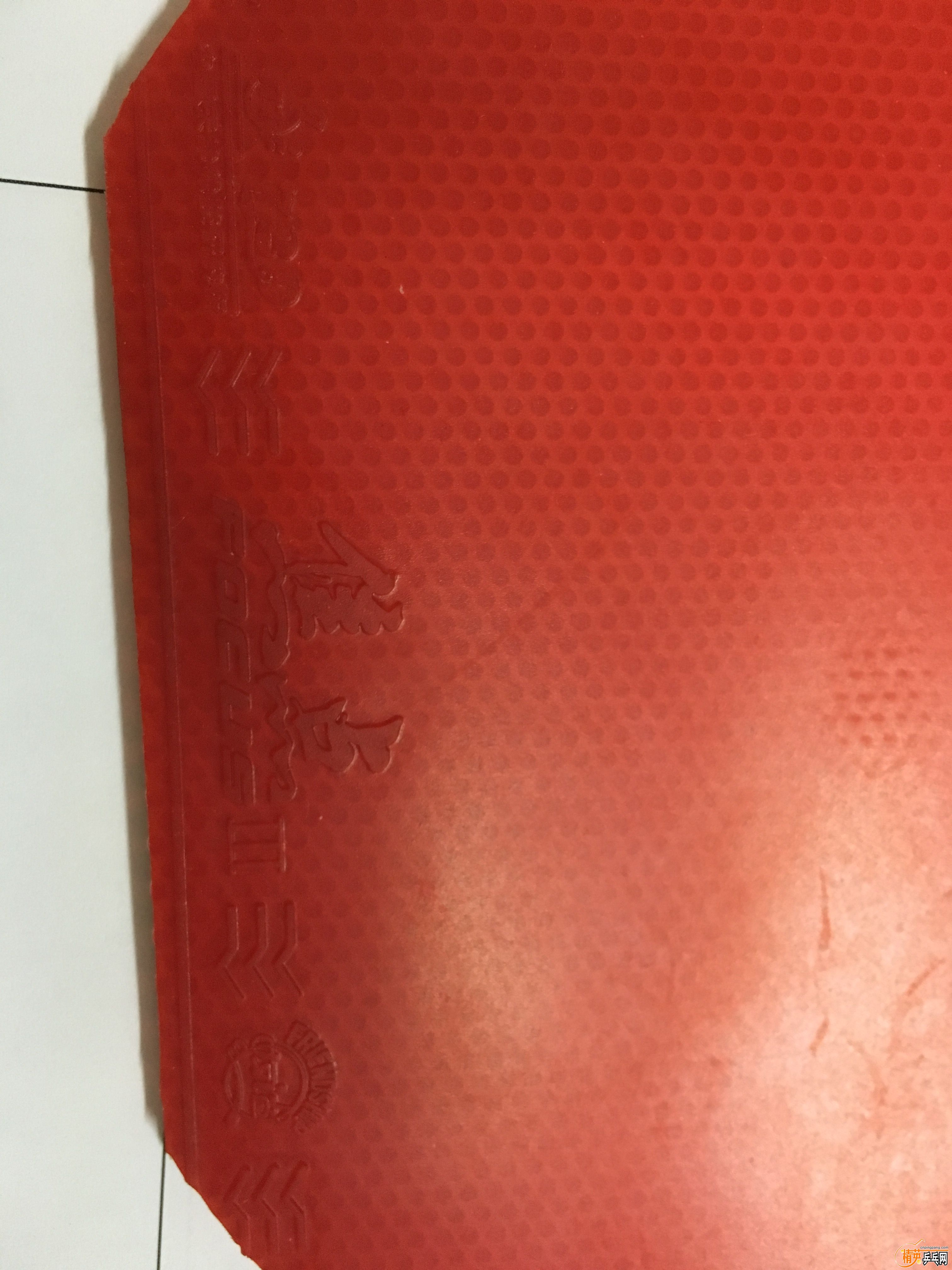 ½ļ (3)IMG_1269.JPG