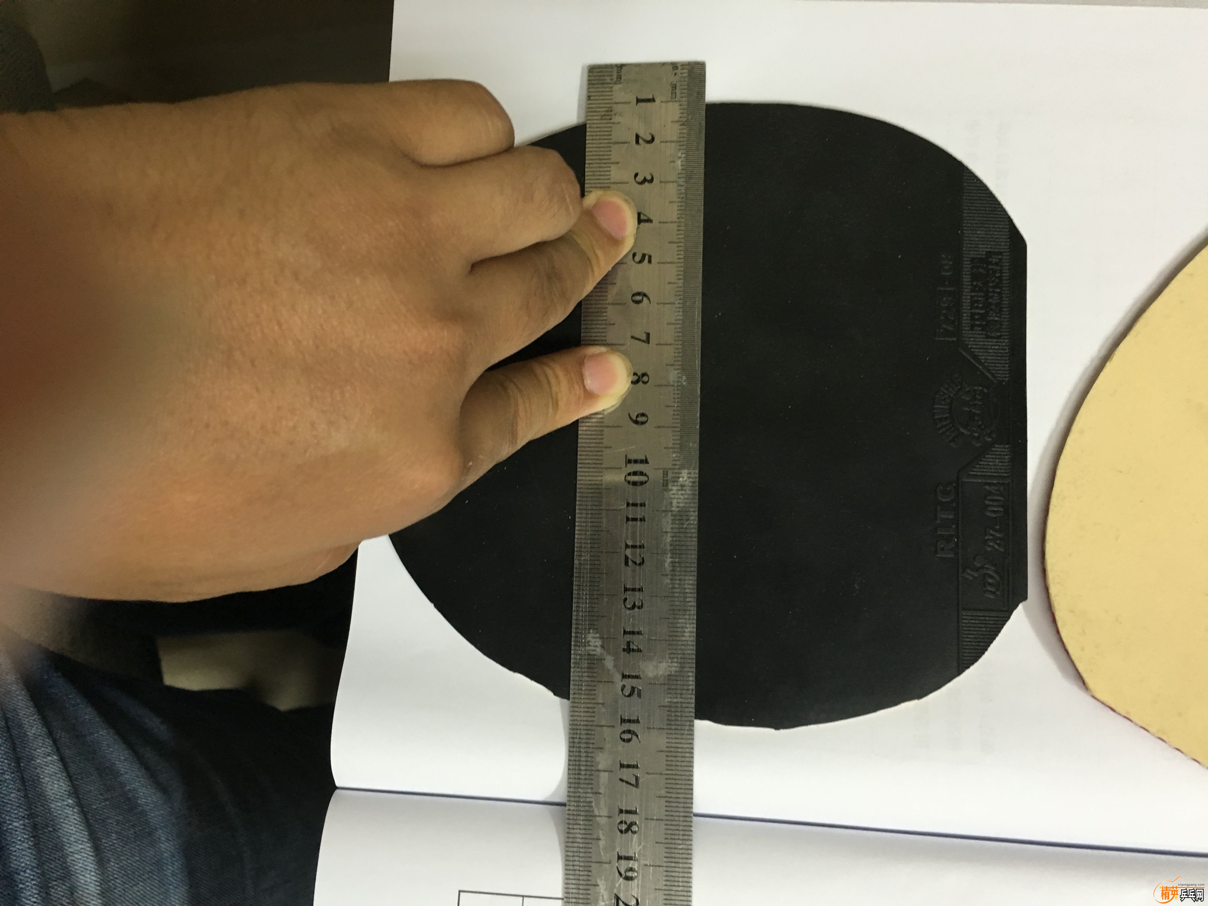 ½ļ (3)IMG_1274.JPG