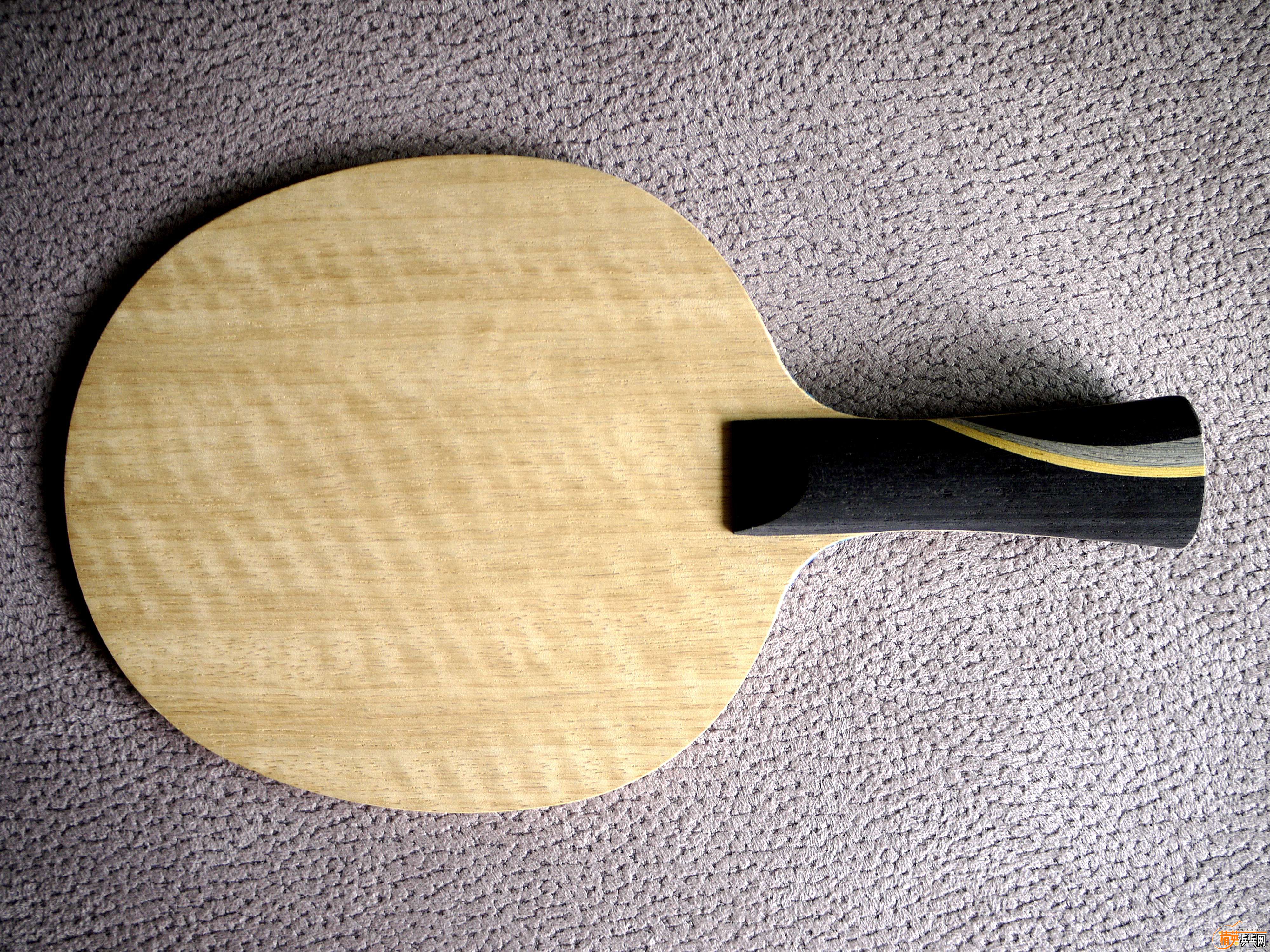 _1030256_.jpg