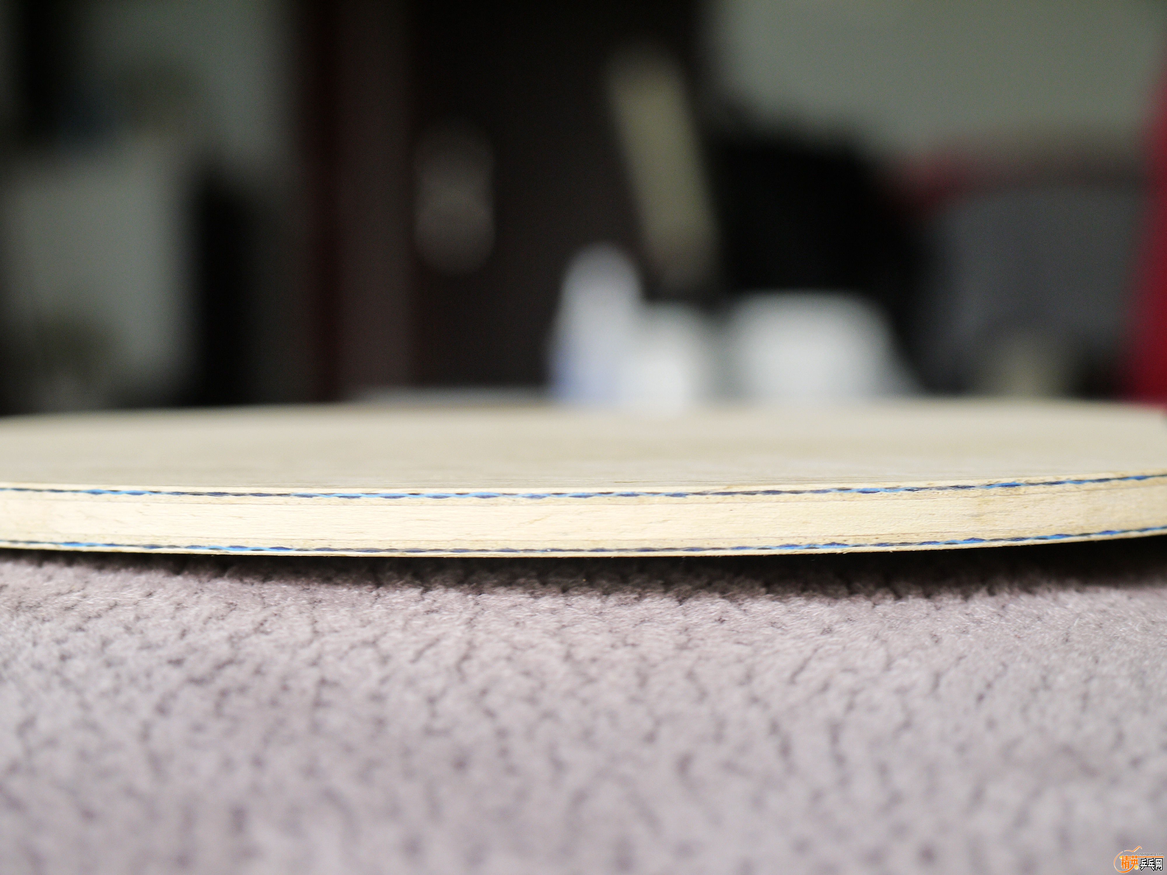 _1030260_.jpg
