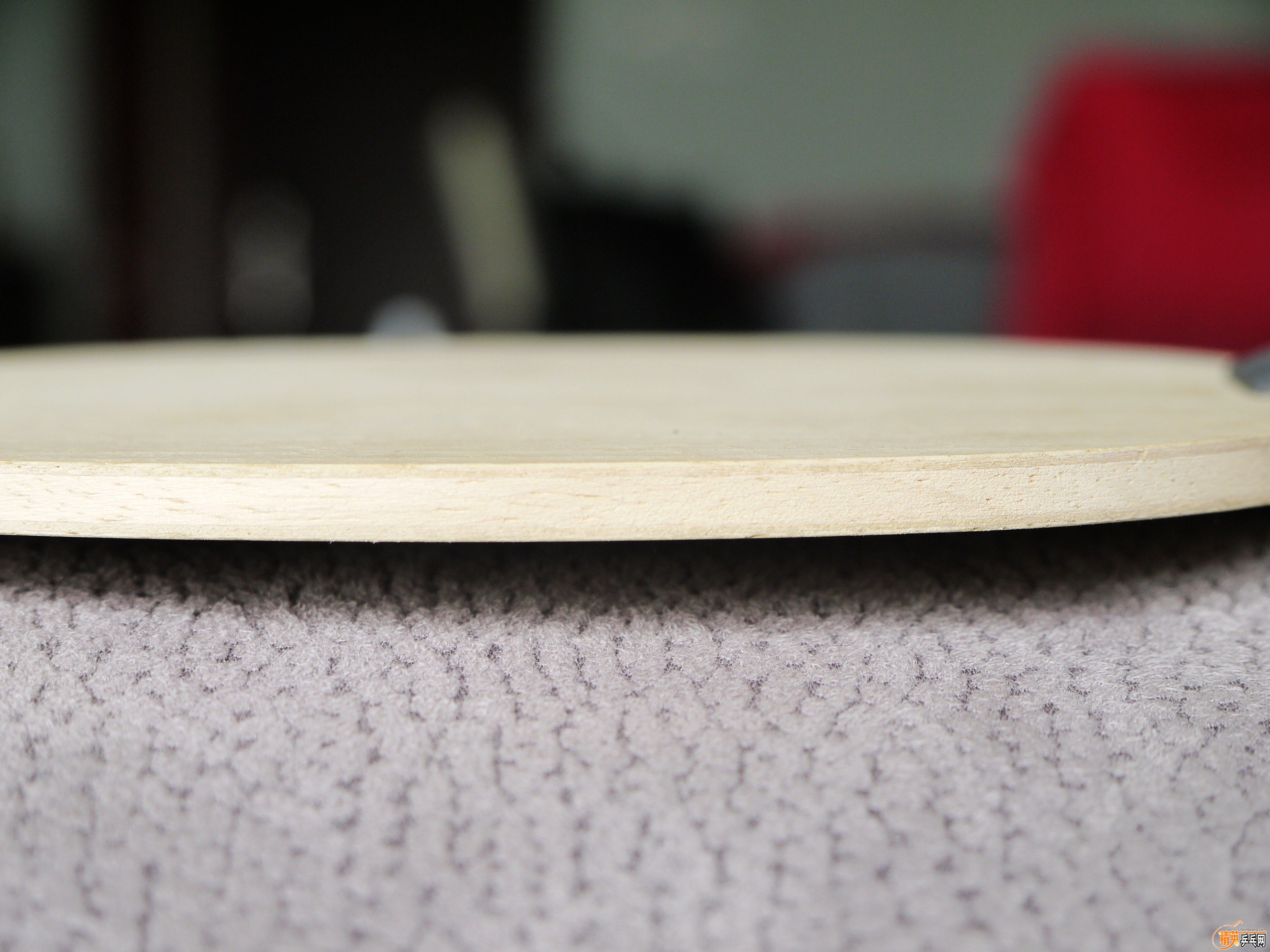 _1030272_.jpg