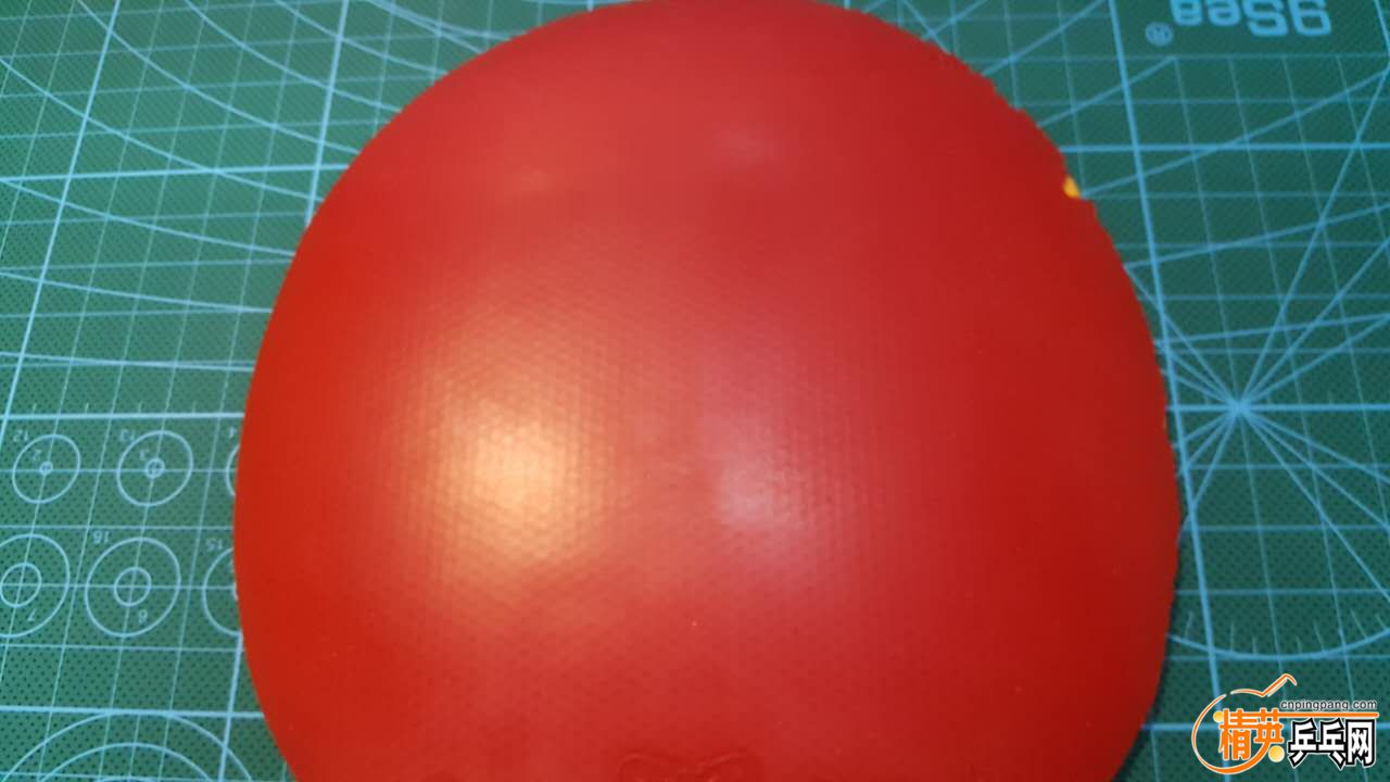 357244059429469987.jpg
