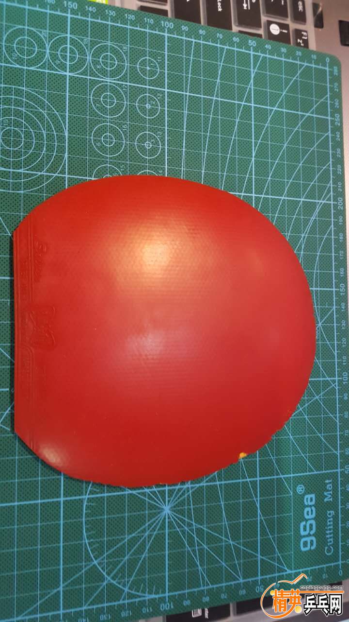 522499095816111007.jpg