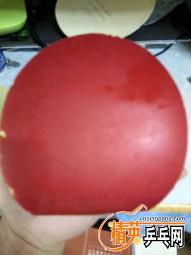 IMG_20160620_120022_HDR.jpg