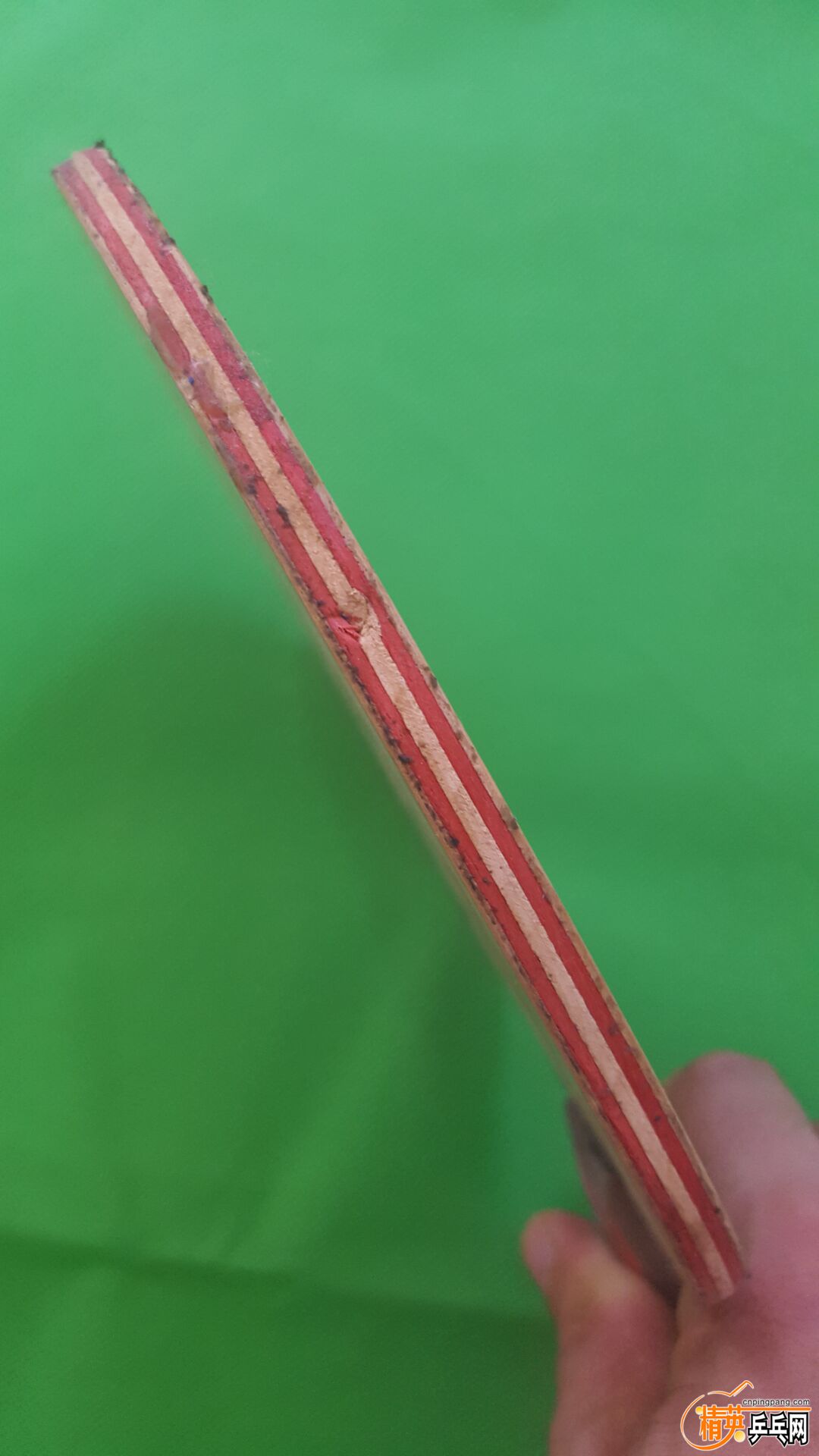 42.jpg