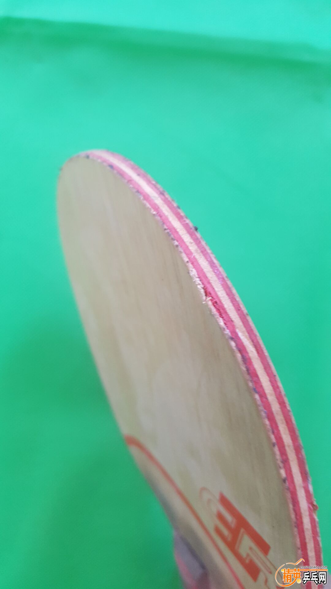 41.jpg