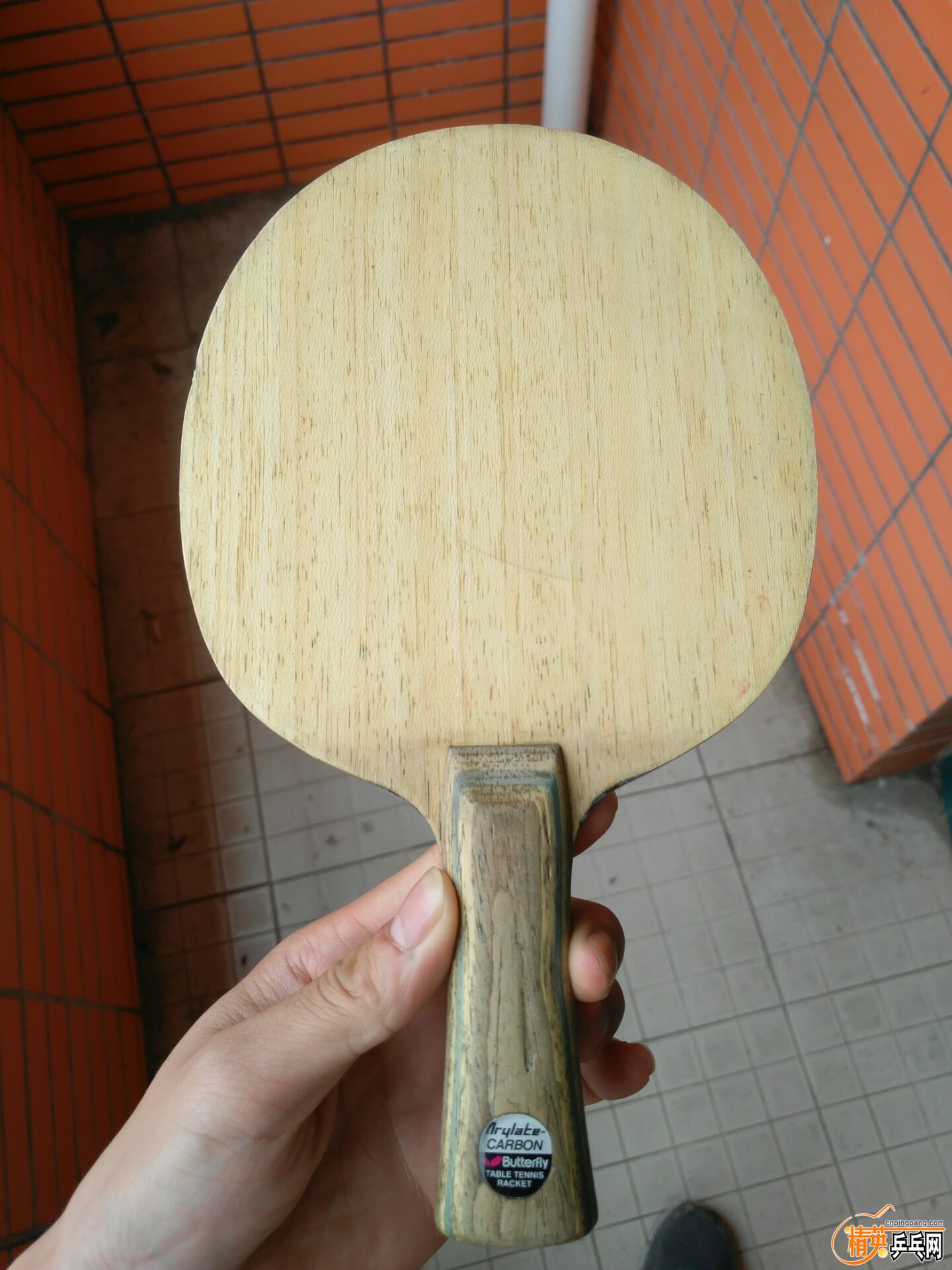 FDE6B716530968447988B38C8609649B.jpg