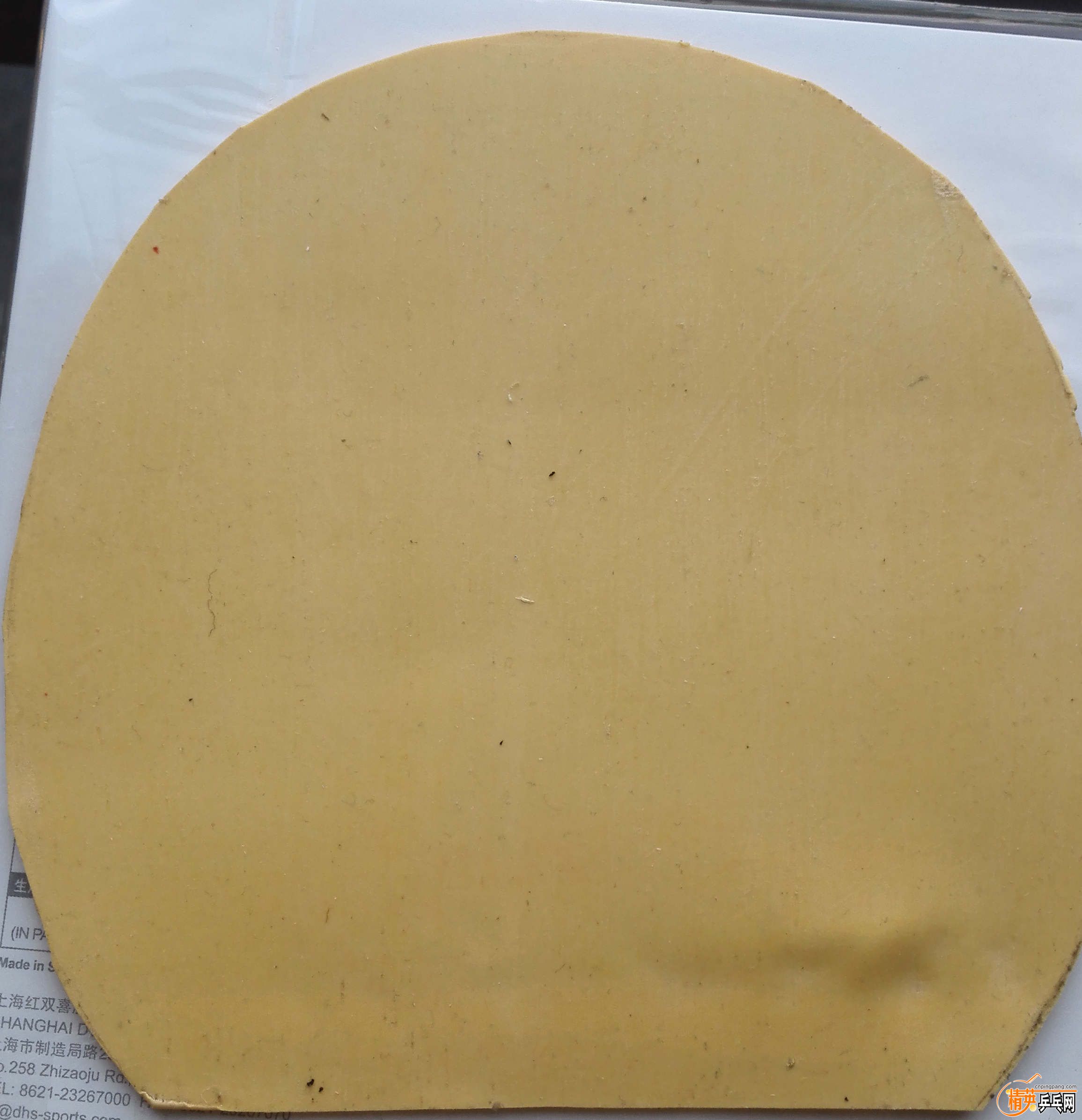 SPIN pips����.jpg