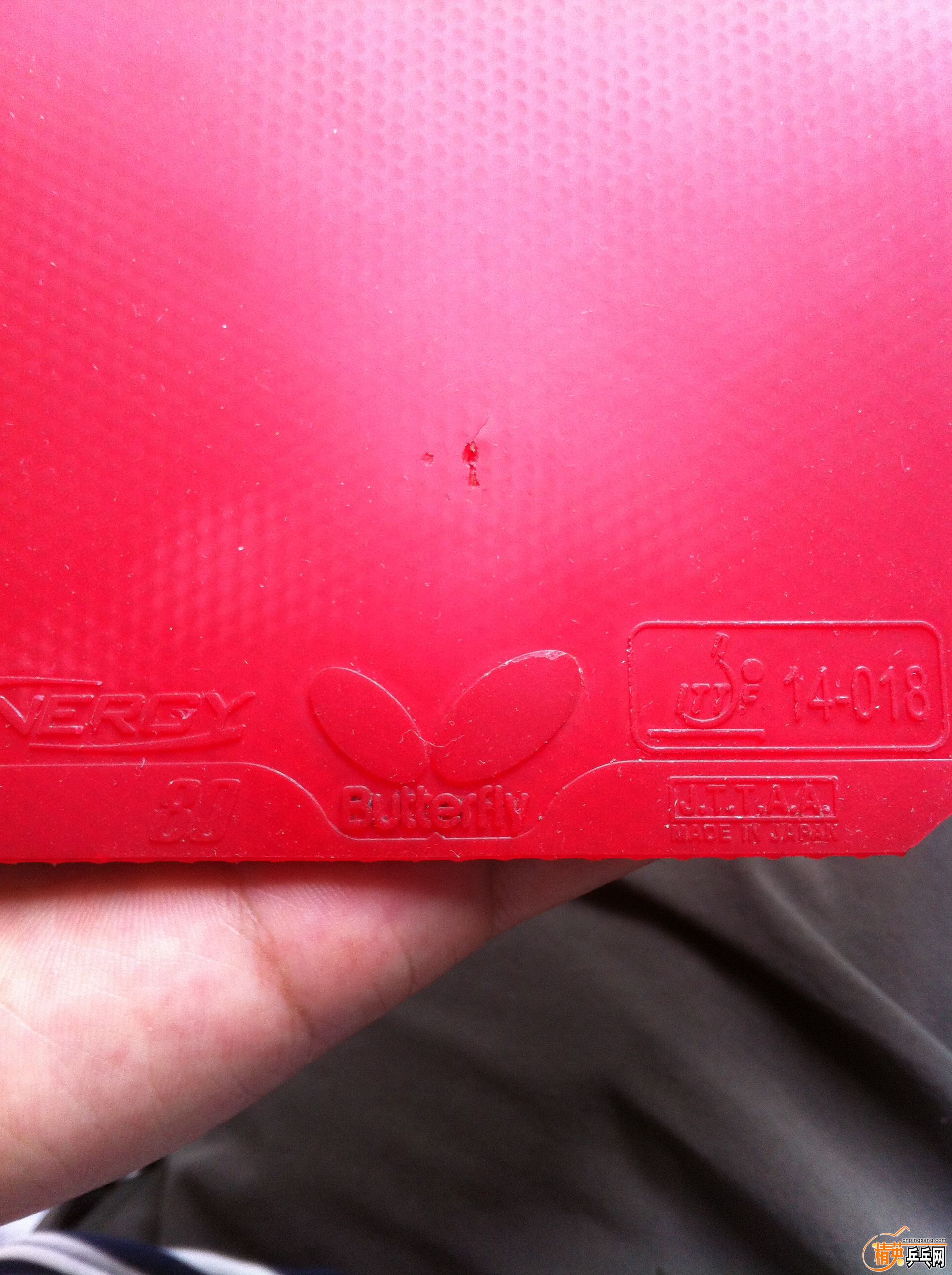 ��ת IMG_4240.jpg