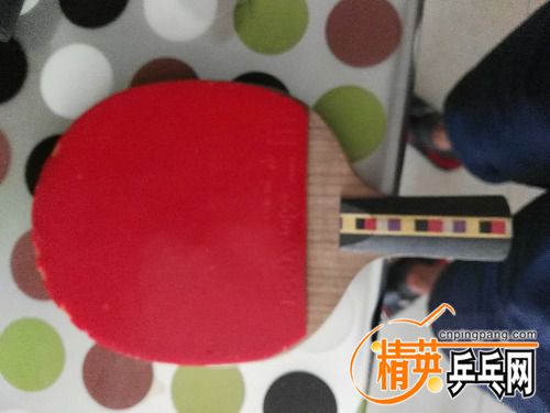 IMG_20160701_111131.jpg