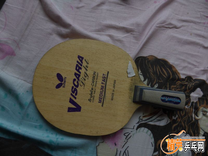 P1020060 (800x600).jpg