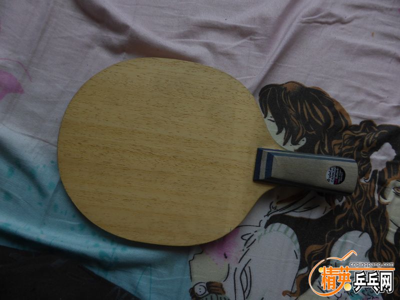 P1020061 (800x600).jpg