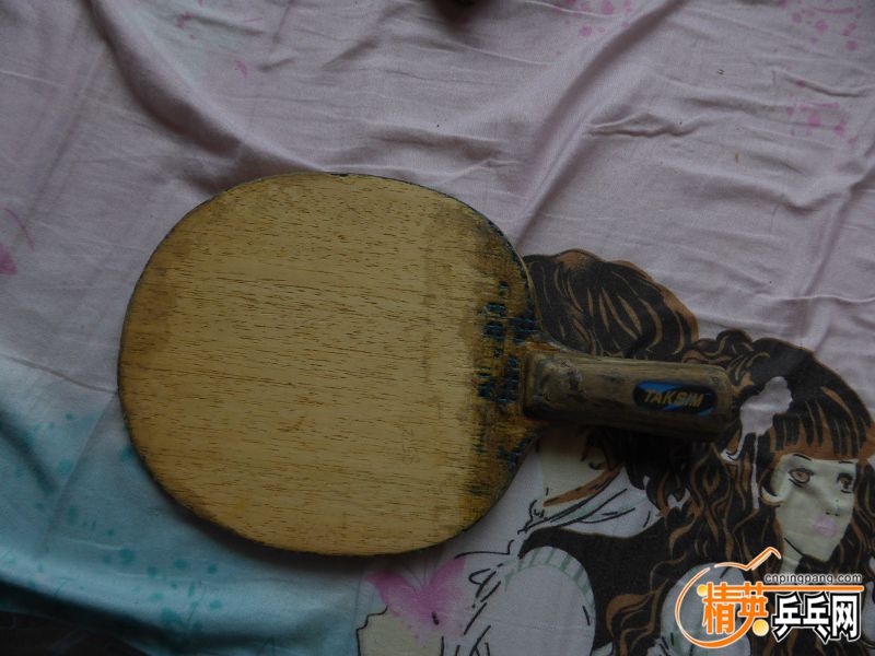 P1020063 (800x600).jpg