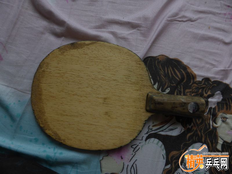 P1020064 (800x600).jpg