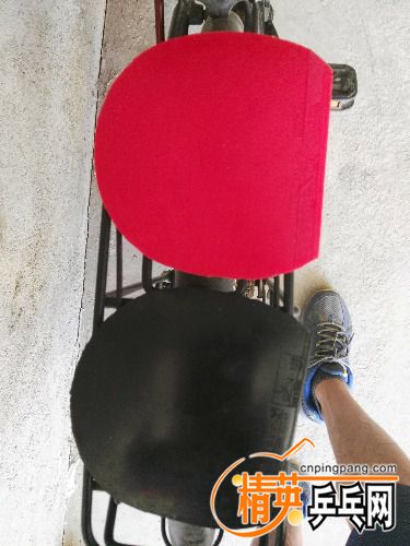 IMG_20160702_145014.jpg