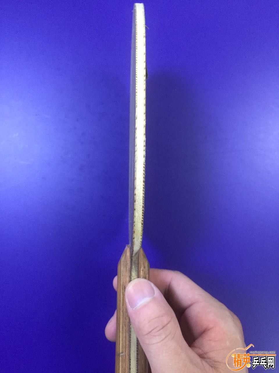 ˹ٿѽ5.4